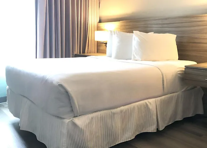 Porto Vista Hotel In Little Italy (Adults Only)